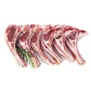Fresh Goat Meat Mutton Chop Pieces