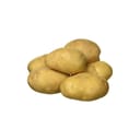 Potato (Aloo)